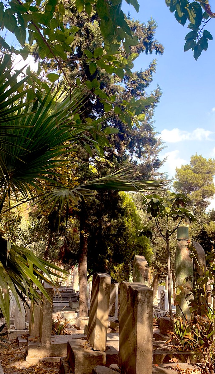 Emanete riayet edenin imanı
olgunlaşmıştır, ahde vefa 
gösterenin ise dini kemâle ermiştir.

İbn Hanbel, III, 134. |