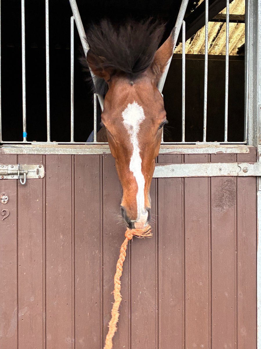Newstart Racing tweet media