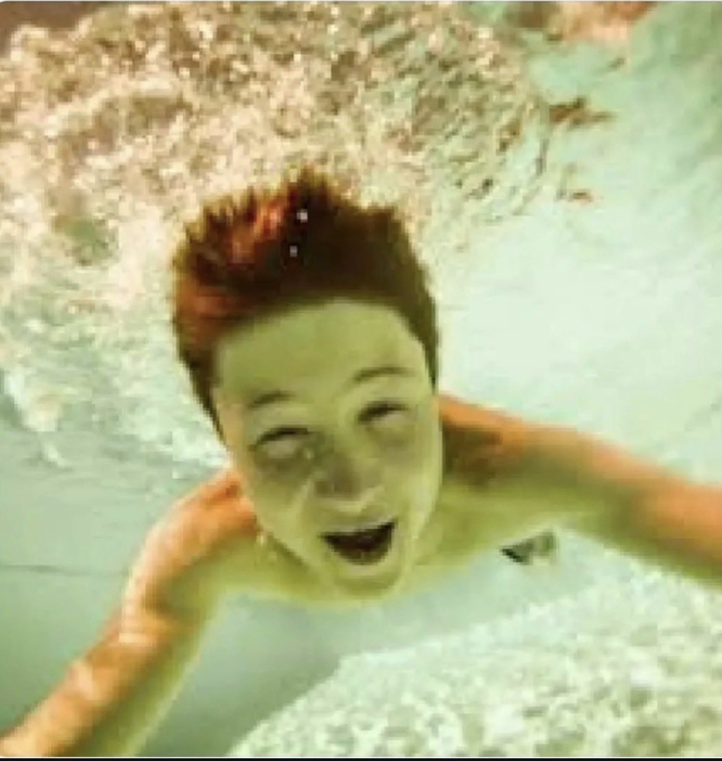 fruchtfliegen wenn sie die schale mit apfelessig spüli und den kadavern von 2000 brüdern sehen