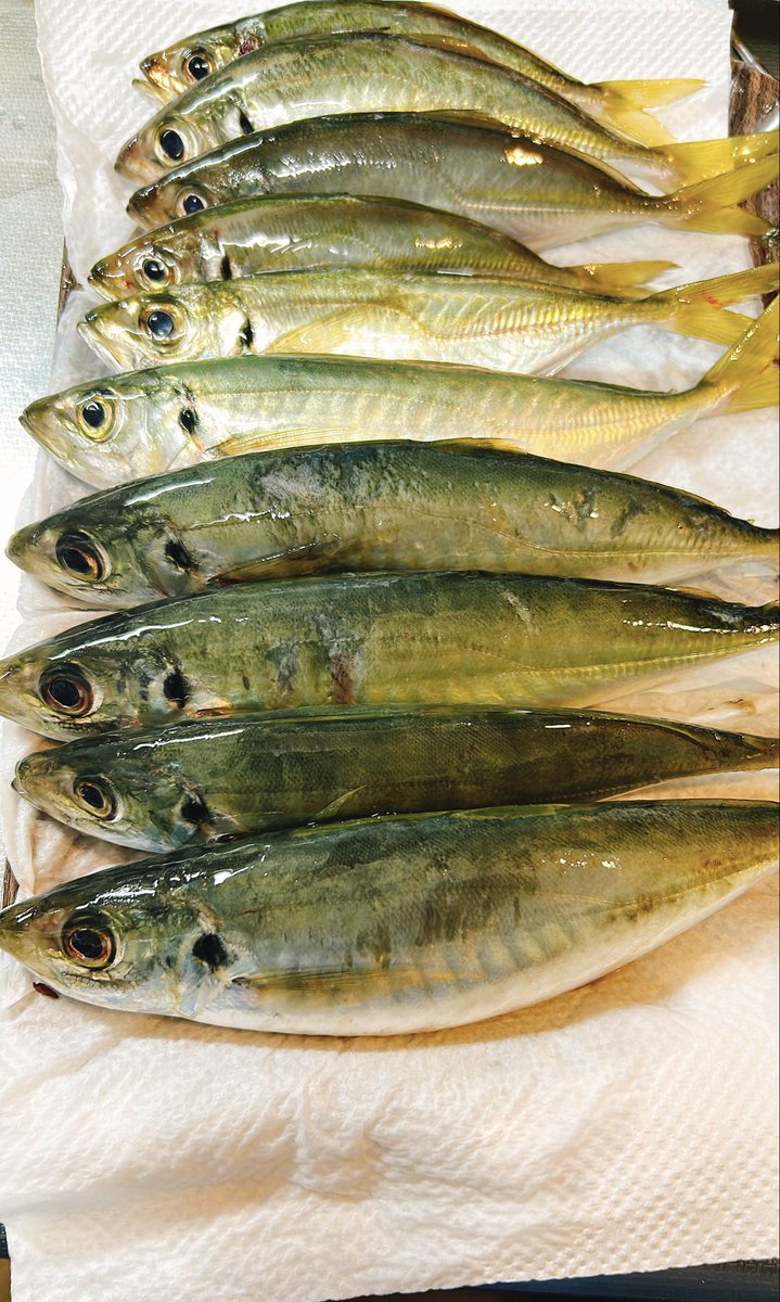 おばっちゃま🍠 on X