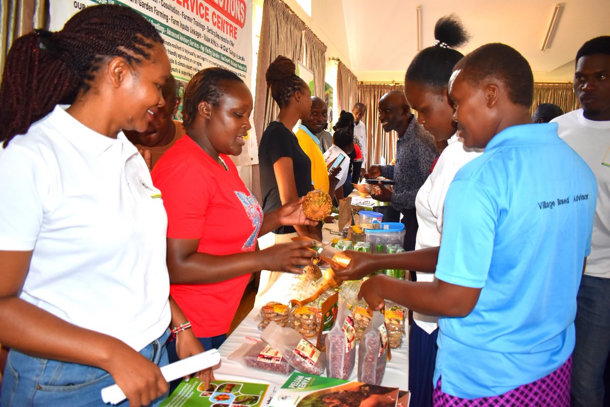 BIBA_Kenya's tweet photo. Today we are in Wote for the official launch of the Makueni County Agroecology Policy
This is more than a policy launch it’s a shift to food systems rooted in life, indigenous knowledge &amp; community sovereignty.

Healthy Soils=Thriving Communities. 🌍💚

#Agroecology #Makueni https://t.co/F2R59jTt08