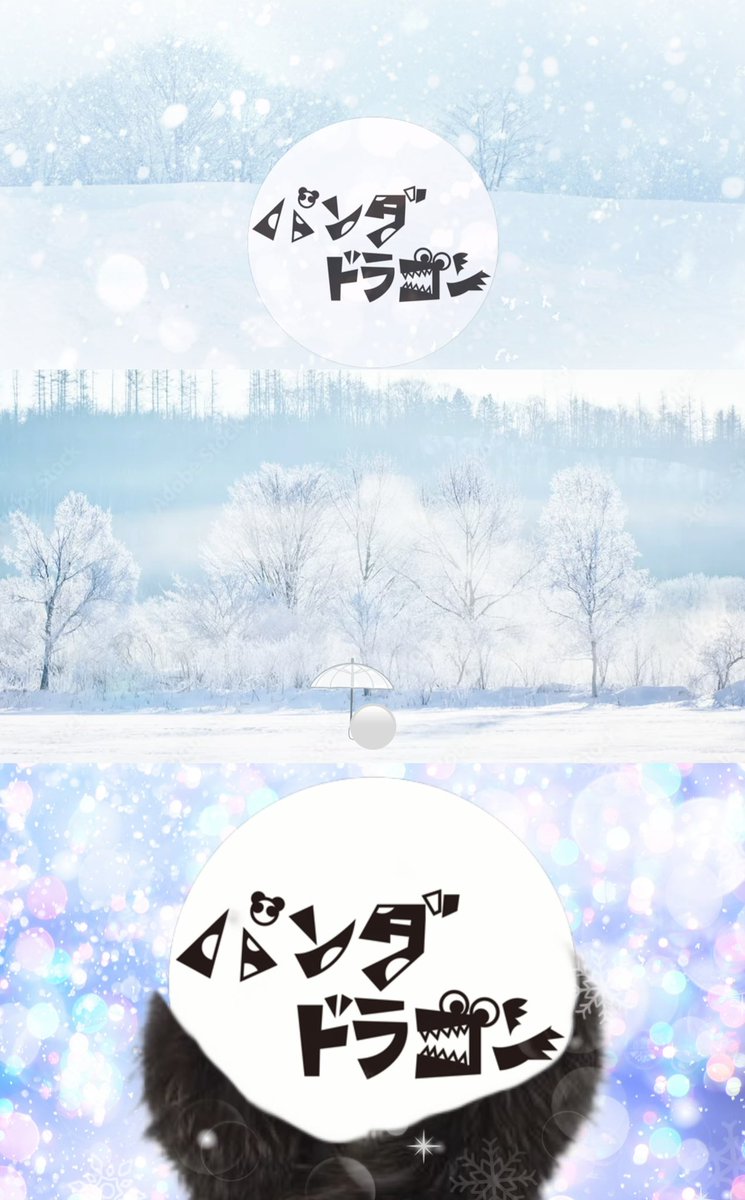 なるき@パンダドラゴン🐼🐲 (@naruki_paragon) / Posts / X