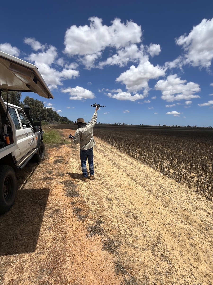 Bindi Isbister tweet media