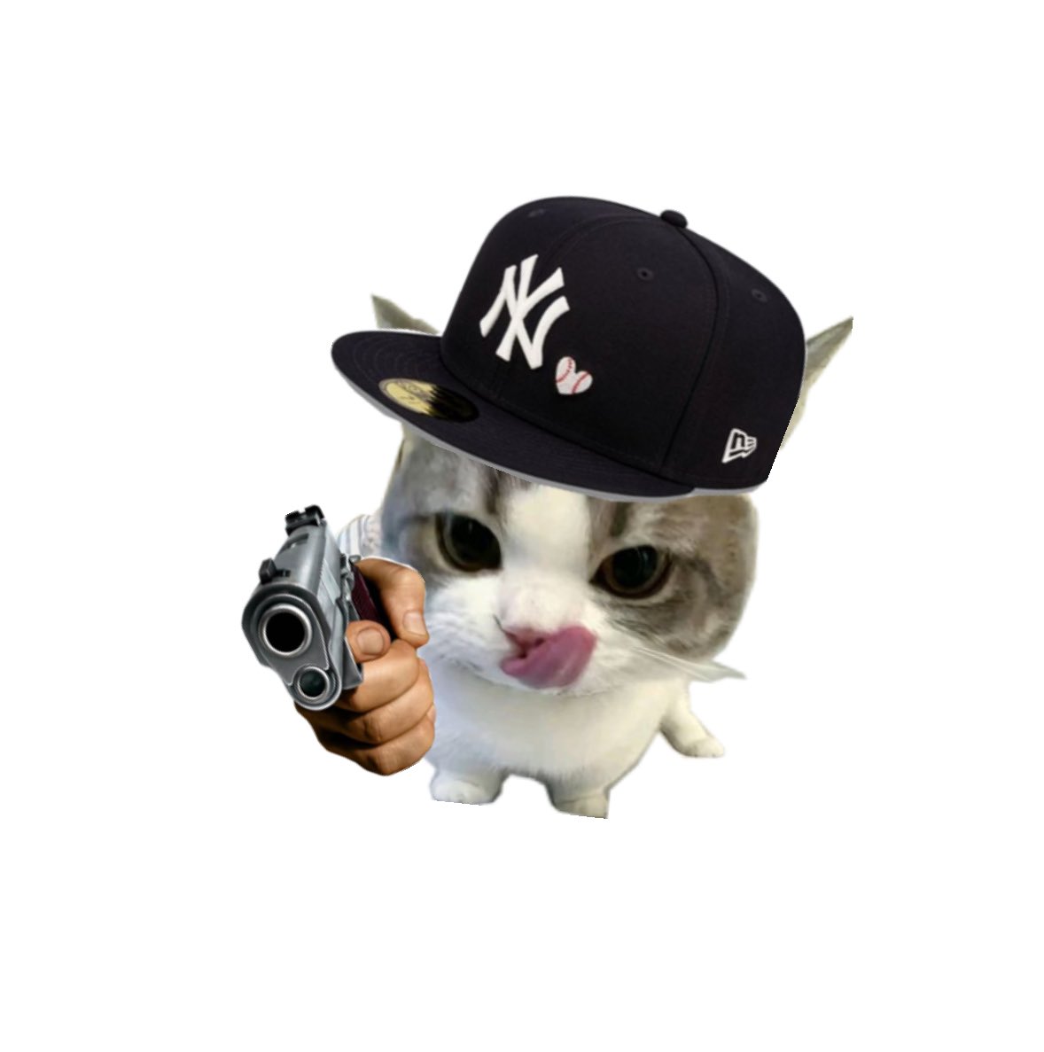 บ๊วย (@itbabywinterx) on Twitter photo 