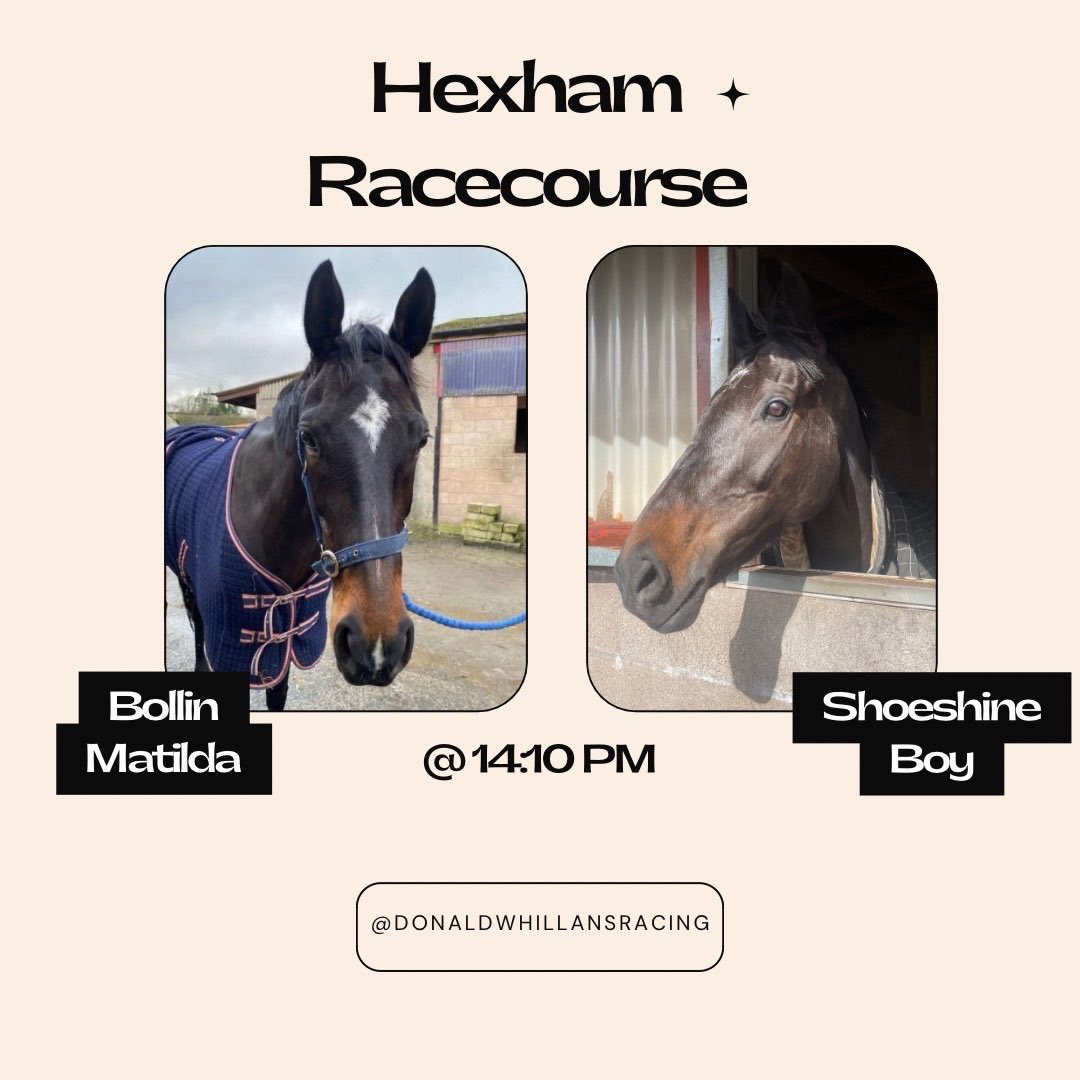 Donald Whillans Racing tweet media