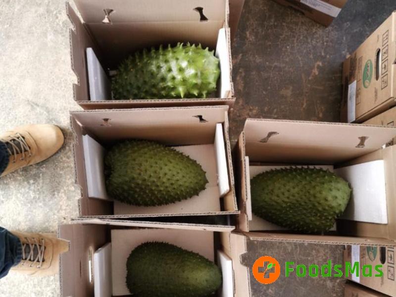 Rodolfomgr77's tweet image. trade4go.com/product/fresh-…
#trade4go #Real Madrid #trading #Benfica