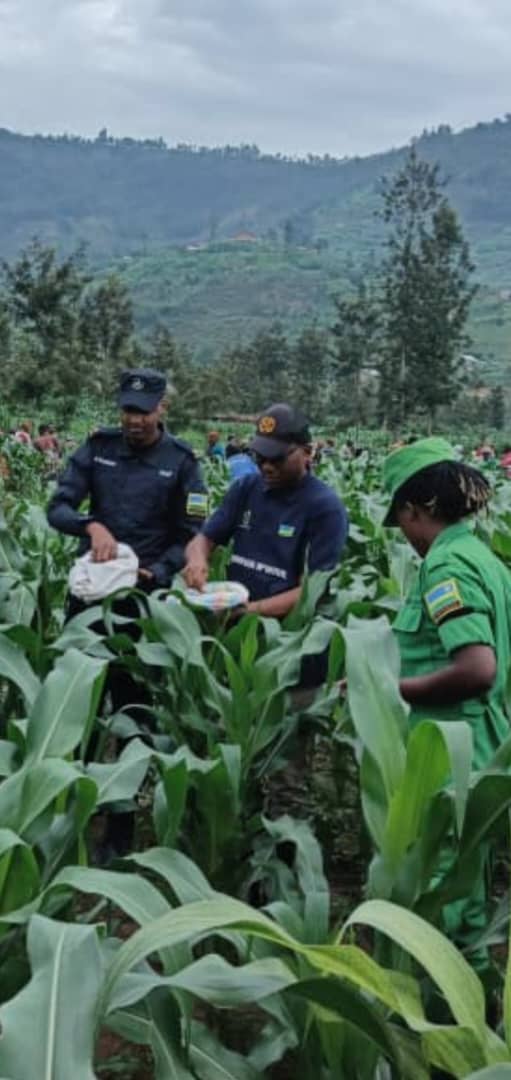 Gakenke District tweet media