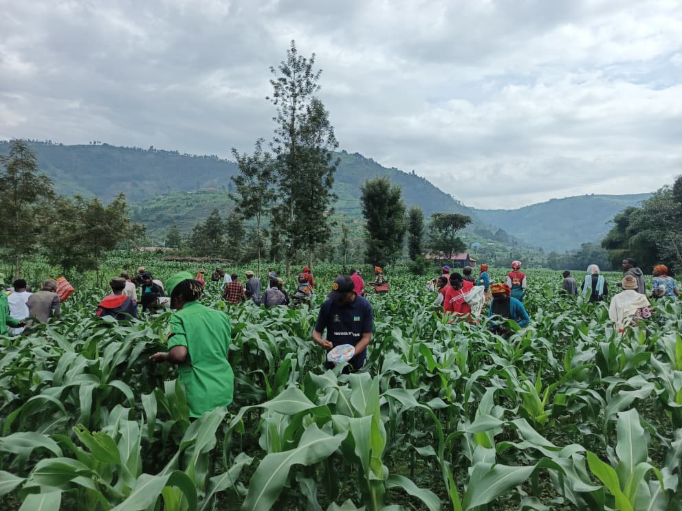 Gakenke District tweet media