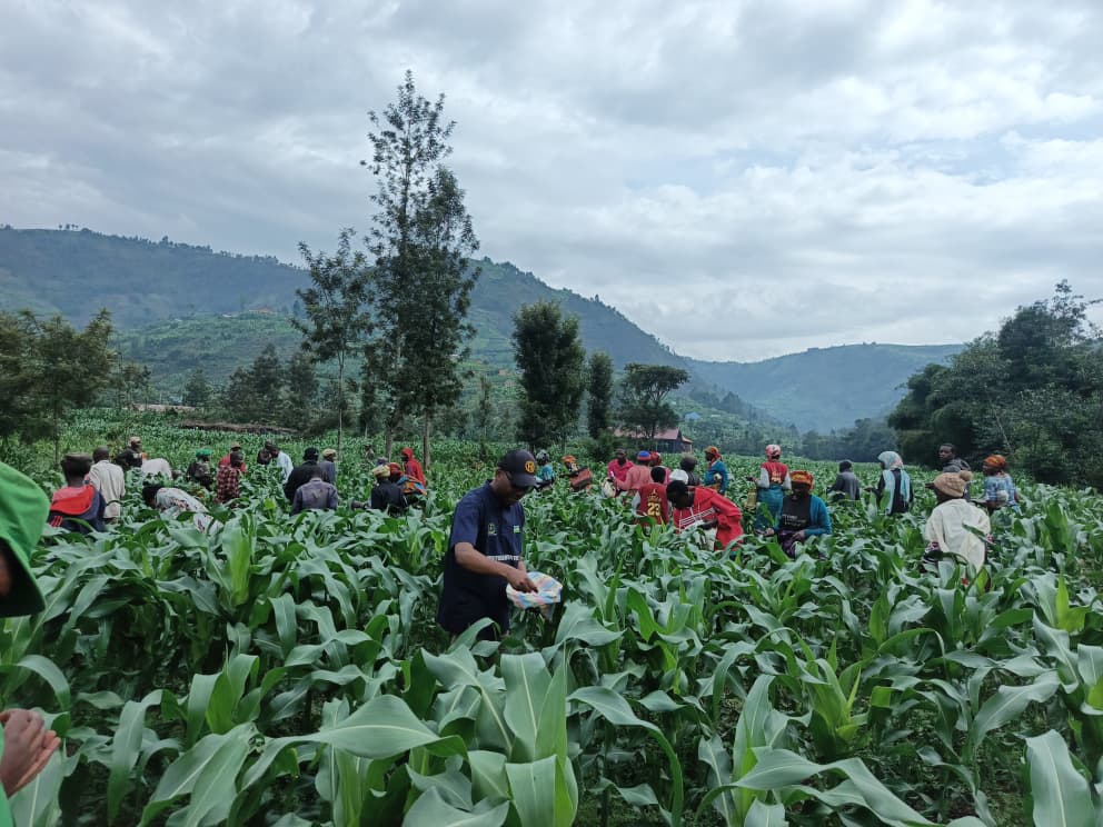 Gakenke District tweet media