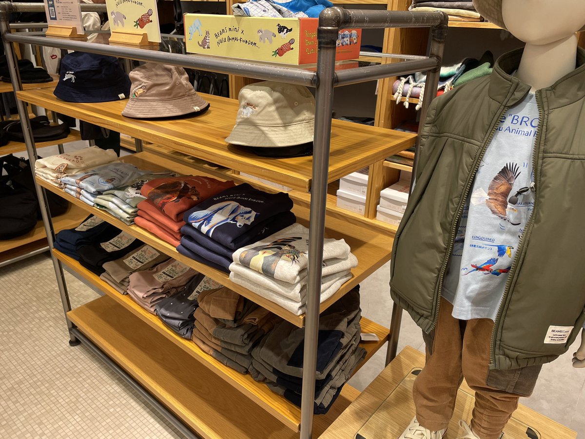 show-1⚔🍓🛡 BF6初心者 (@showsuga) / Posts / X