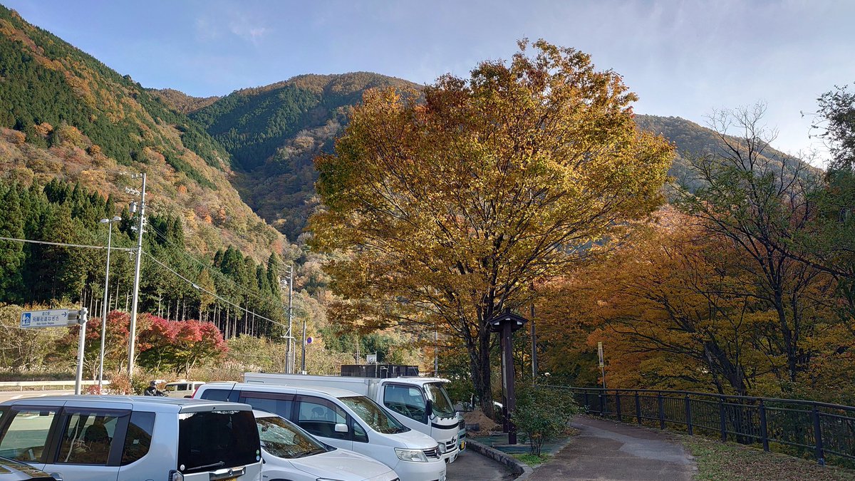 PCM8's tweet image. 丸太の上に立つツキノワグマの親子、その隣にはどこか間抜けなカモシカの姿。
ここは道の駅なぎさ。山の暮らしと自然のぬくもりが詰まった場所。

窓の外では秋の山がやさしく色づき、
金と橙の葉が風にゆらゆらと踊っている。静けさの中に、森の息づかいが感じられる瞬間。…