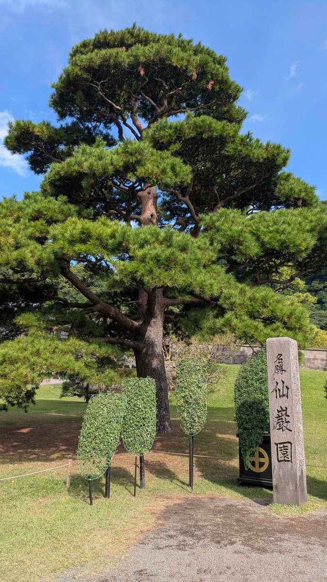une_rose49's tweet photo. はじめての桜島、圧巻だった😆
天候にも恵まれ最高の旅になりました✨

#鹿児島  #桜島
#仙厳園　#霧島神宮 https://t.co/6ZGr8lHSUo