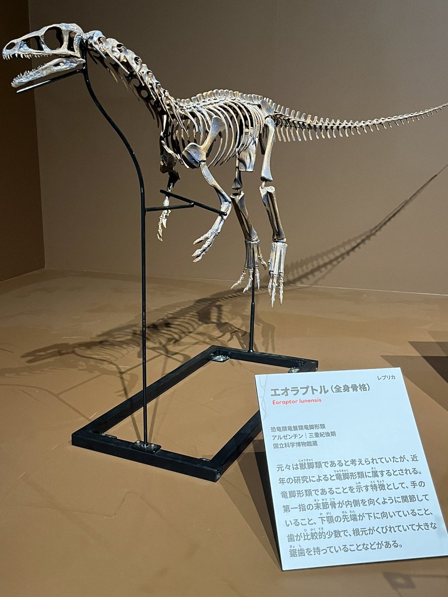 キンケツゥ・ナウ (@StarPredator247) / Posts / X キンケツゥ・ナウ (@StarPredator247) / Posts / X