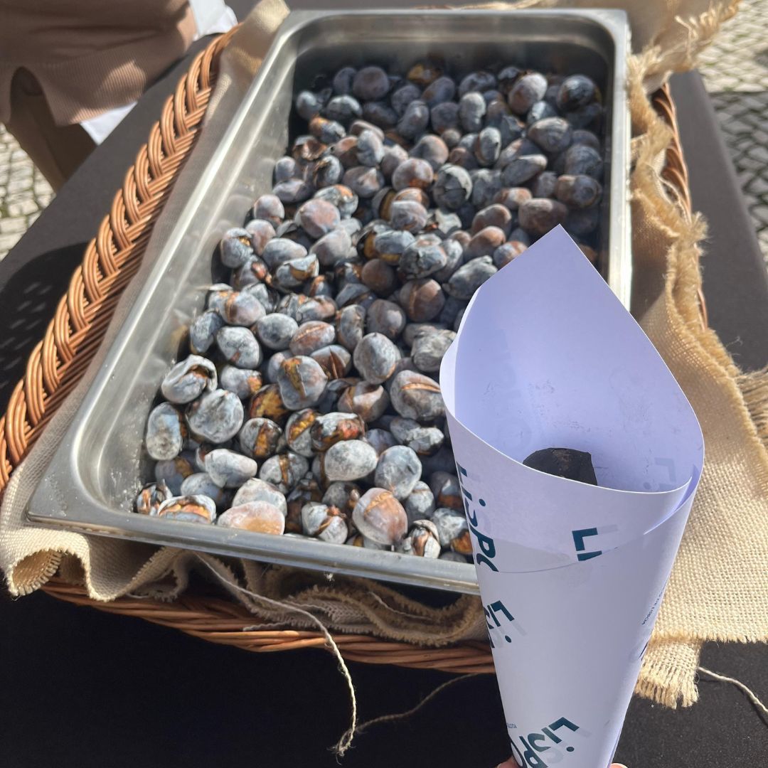 lispolis_'s tweet image. 🍁 Celebrámos o São Martinho na Lispolis com castanhas, sorrisos e boa energia!
Um momento simples, mas cheio de significado — juntar a comunidade, partilhar histórias e fortalecer laços.

Porque na Lispolis, inovação também se faz à volta de uma boa castanha assada! 🌰🔥