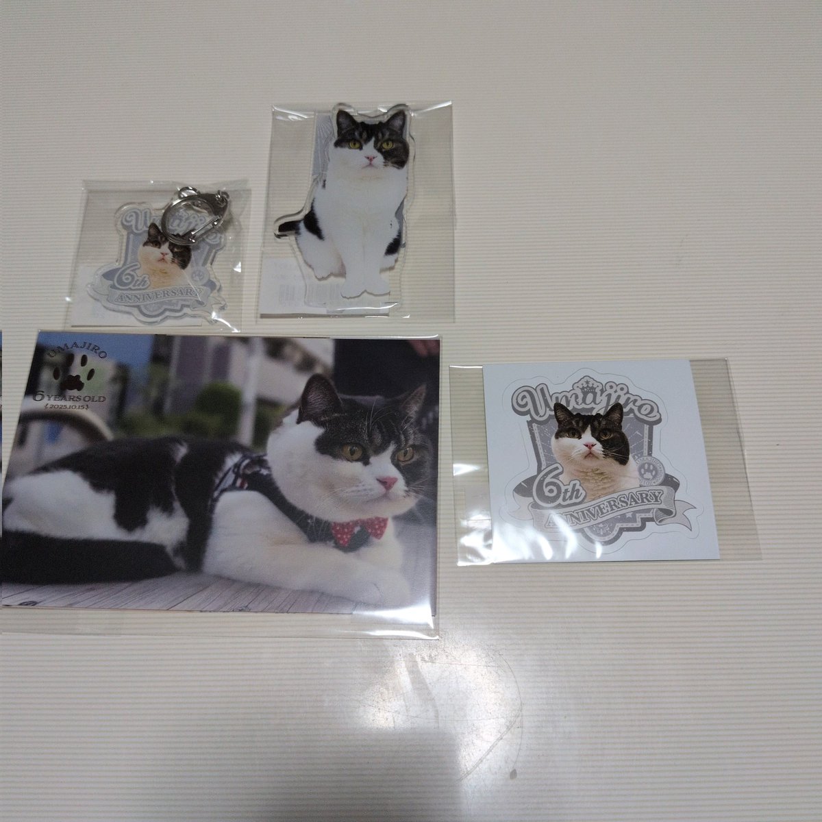 スコスコぽこ太郎&うま次郎 (@PocoUma) / Posts / X