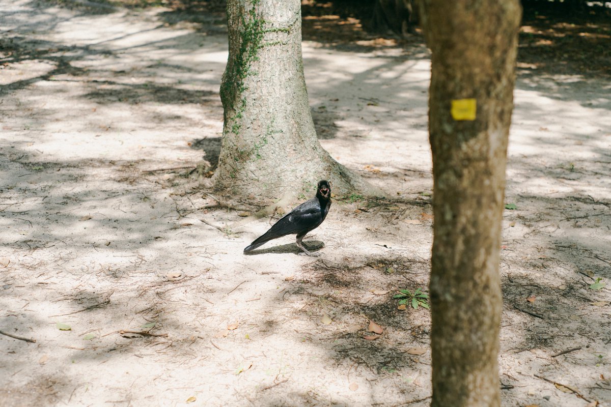 UMA｜悠真 (@uma_jpeg) on Twitter photo 