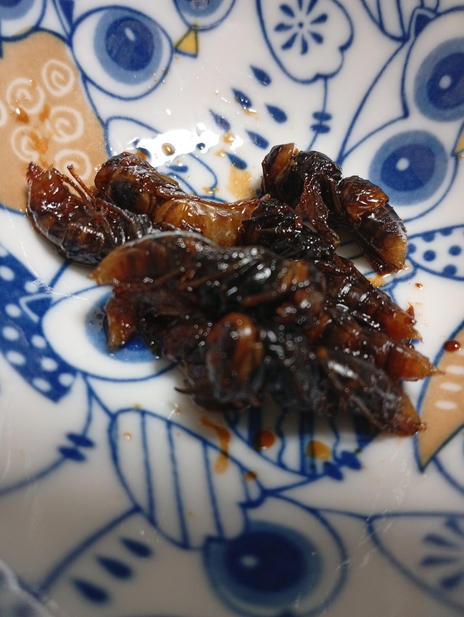 きぶっぴー🙏11/1 live in 栄TIGHTROPE on X