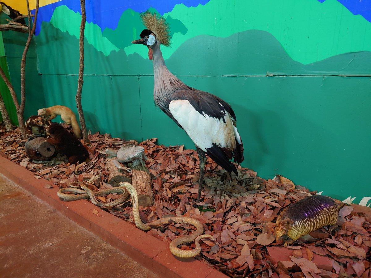 マコラ☆＆☆オリオン on X