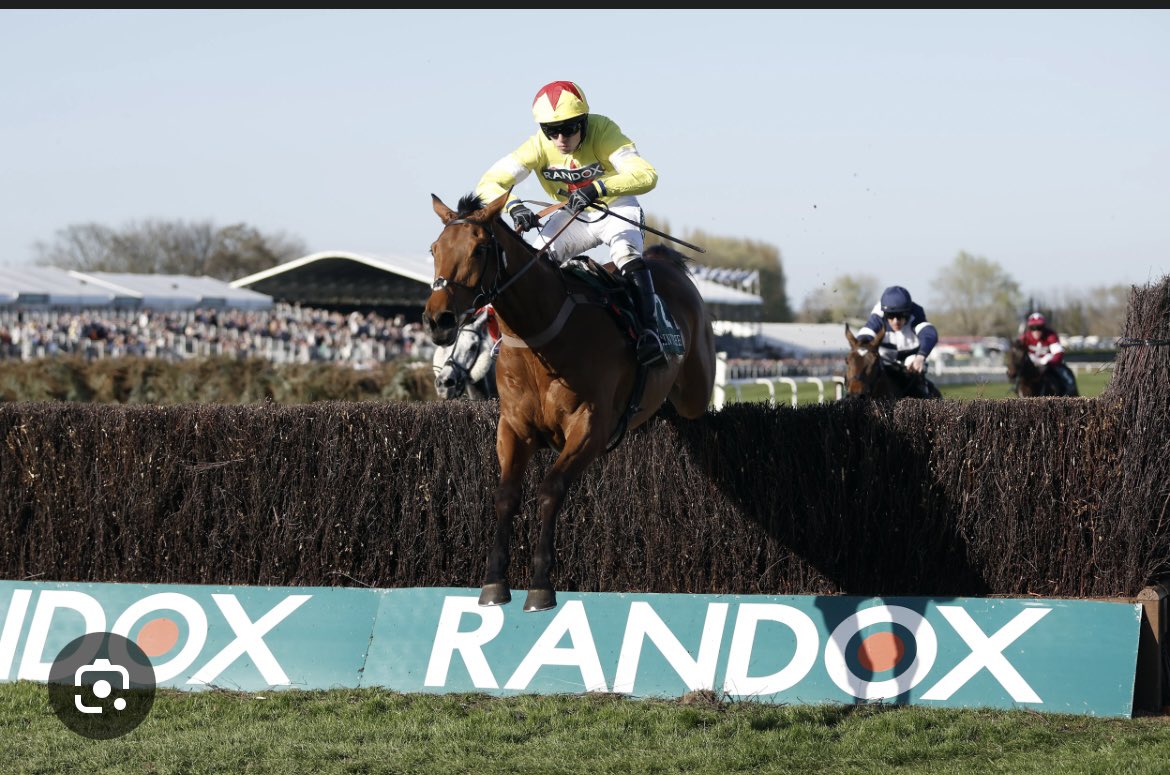 🐎 | EXETER

Some cracking jumps action today at Exeter with some nice horses reappearing, who let’s down the Wise Guy treble:

🔷 12:40: KEL DU LARGE 8/11

🔷 13:50: QUEBECOIS 4/5

🔷 14:25: KALIF DU BERLAIS 13/8