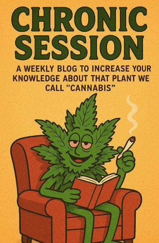 ChronicSession's tweet image. You smoke it… but do you know it?
Join TheChronicSession.beehiiv.com where we break down cannabis life, one sesh at a time 

Funny. Chill. Real. Just how you like your highs.

#TheChronicSession #StonerLife #HighVibes #CannabisCommunity #420Everyday #StayLifted #WeedHumor