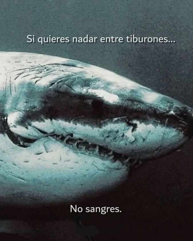 DaniloNAB's tweet photo. Certamente https://t.co/z2pgCXLUz5