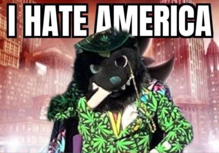 Tim Gradous tweet media