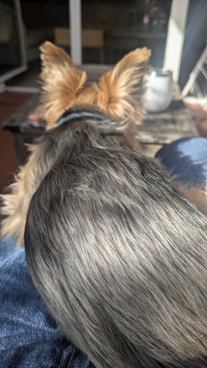 обережно, порнографія