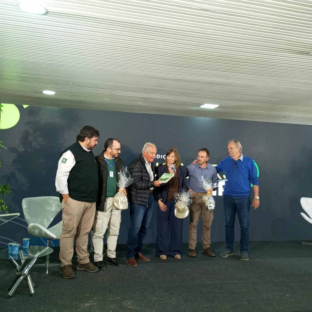 GraceQuintans tweet media