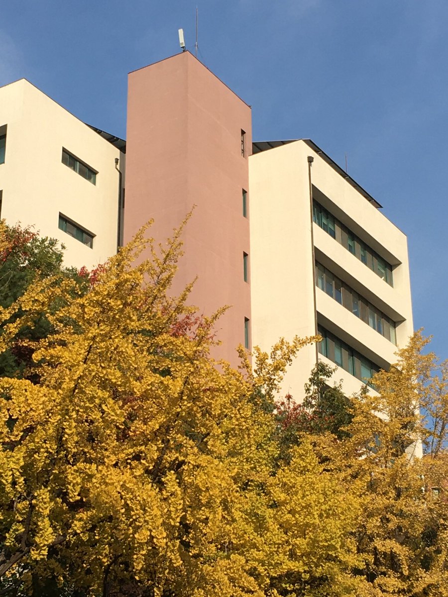 woo..ミ⛧ tweet media