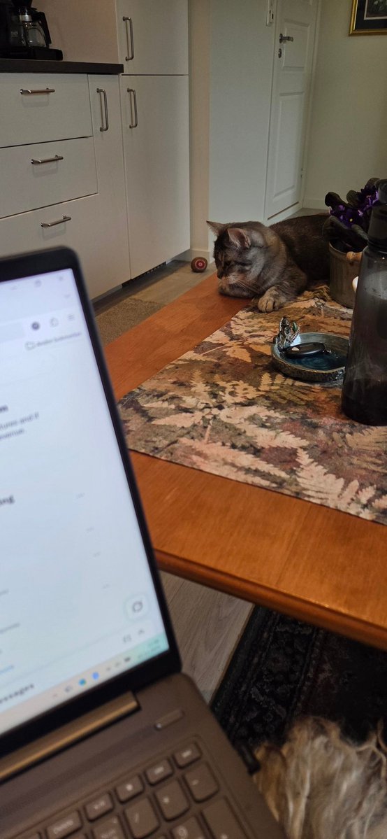 Ser på at Teddy spiser opp maten sin jeg, sier Esther 😆😍