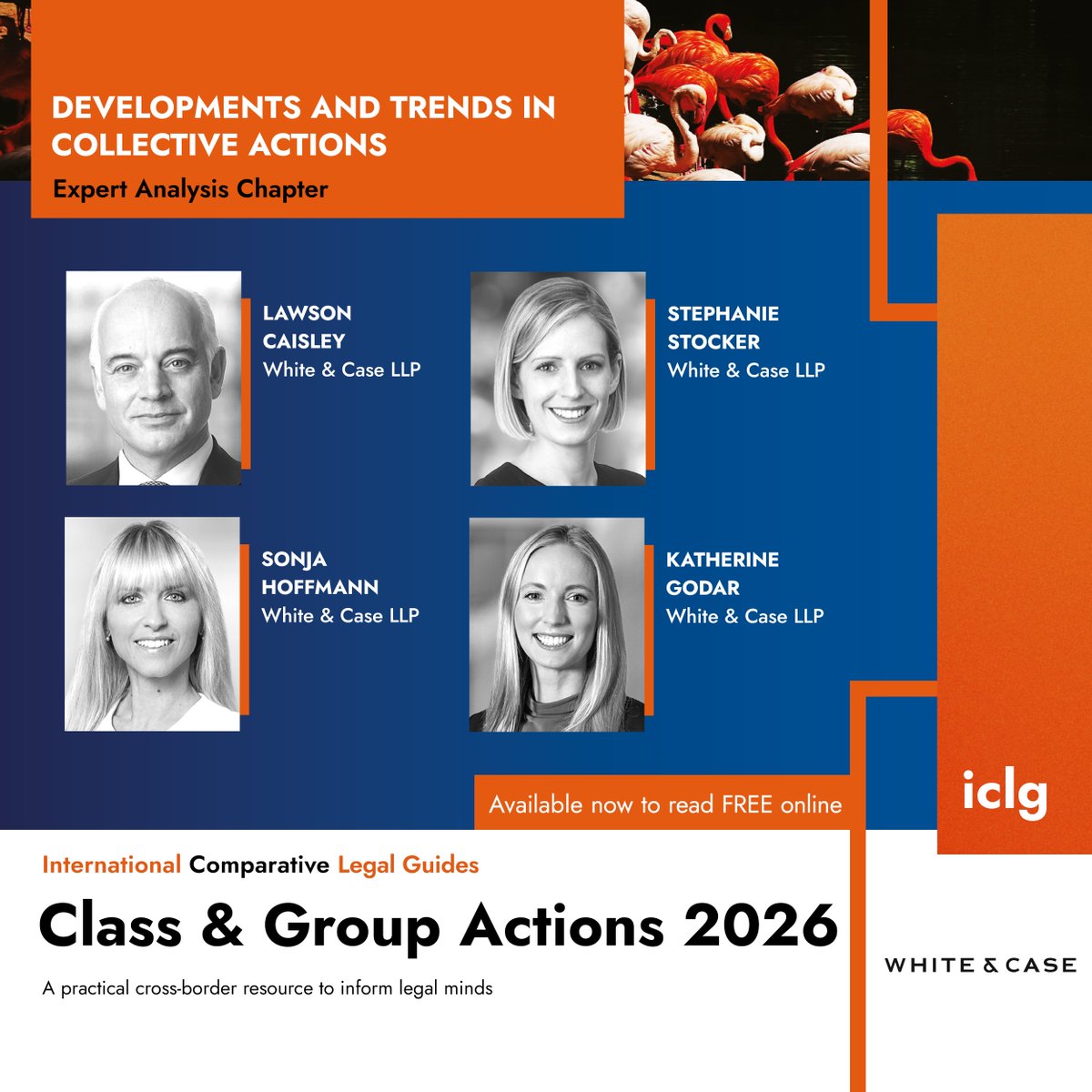 ICLG_GLG's tweet image. How have recent #legal developments and policy reforms shaped the evolution of #CollectiveActions in the #US, the #UK, and #Germany?

Find out with @WhiteCase in the ICLG #ClassandGroupActions 2026➡️: obi41.nl/344bh5b9
