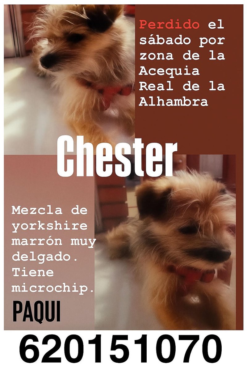 RetroNewGames tweet media