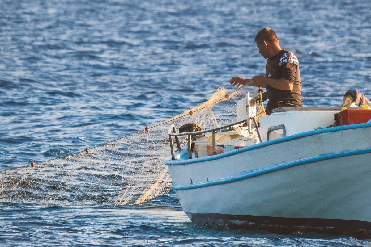 Low Impact Fishers of Europe tweet media