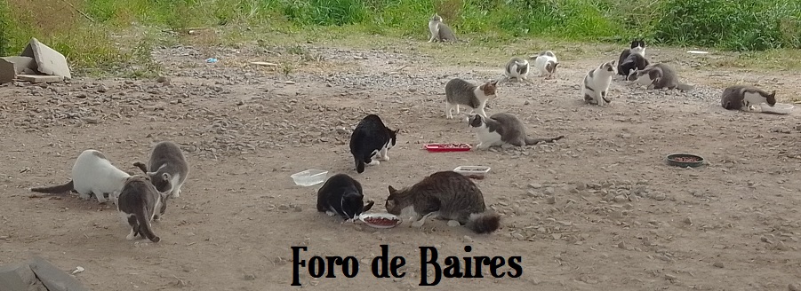 Se viene la Feria a beneficio de animales si  hogar en Godoy Cruz 2011 y Costa Rica. Incluye audio - Haga clic ver también ☛  forodebaires.com.ar/se-viene-la-fe… a través de <a href="/forodebaires/">Foro de Baires</a>