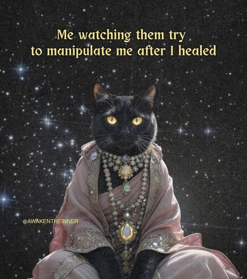 space_treasure8's tweet image. 