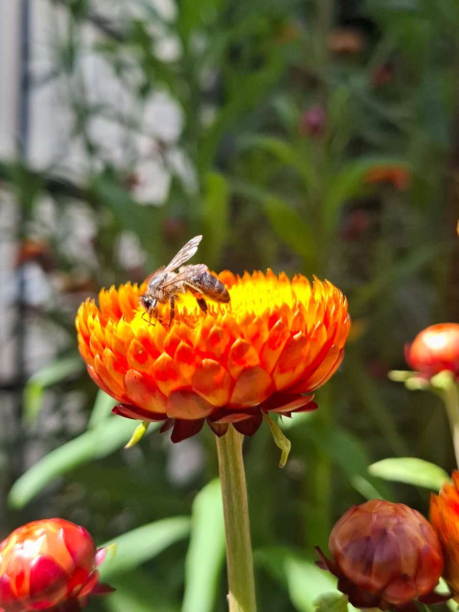 Mrs.Smith🏳 tweet media