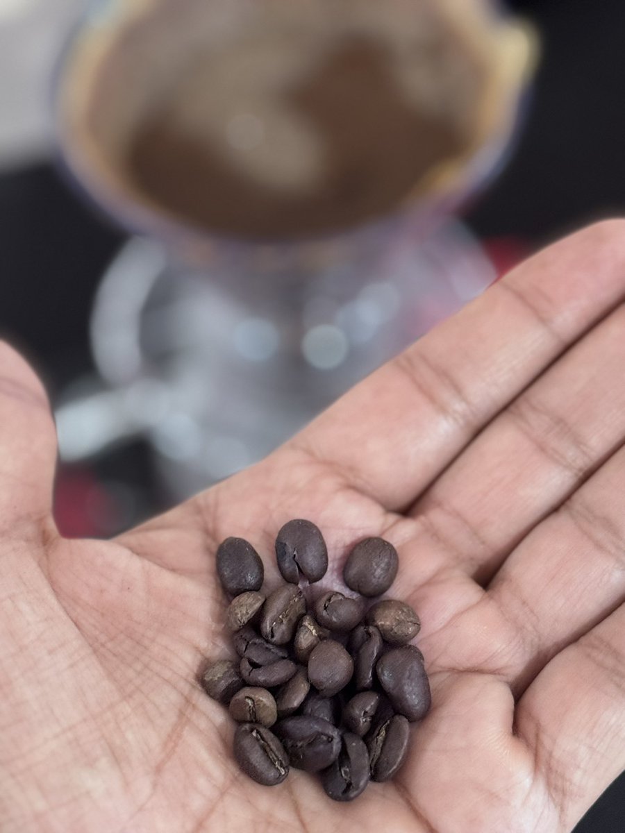 Mario Valle Reyes | @bilbeny tweet media