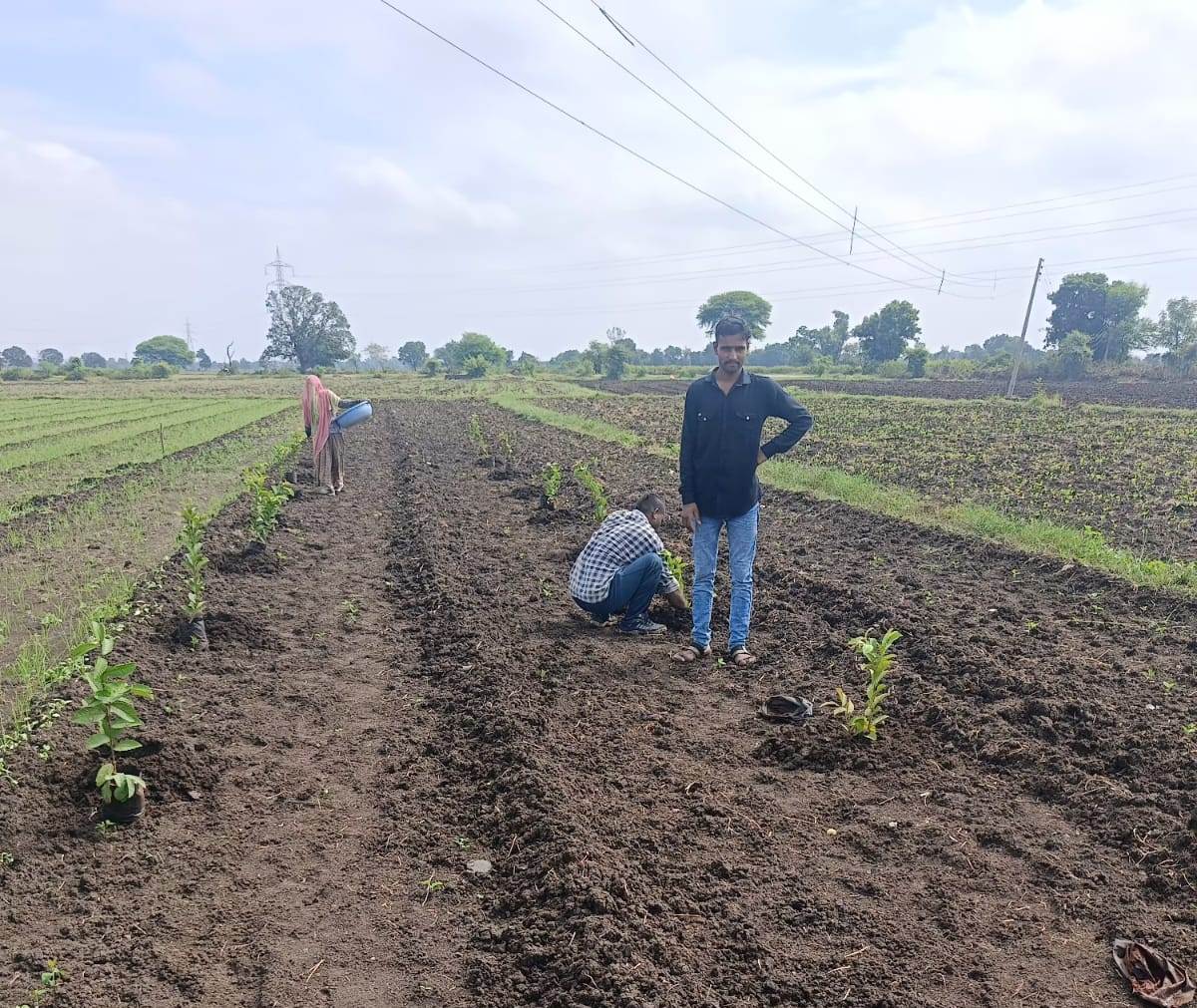 #देवास जिले में #एक_बगिया_माँ_के_नाम" परियोजना अंतर्गत स्वसहायता समूह की महिलाओं द्वारा खेत में बगिया का निर्माण किया जा रहा है। परियोजना अंतर्गत जनपद पंचायत टोंकखुर्द के ग्राम संवरसी एवं ग्राम मद्दूखेड़ी की महिलाओं ने अपने खेत पर अमरूद के पौधे लगाए एवं उनकी देखभाल की जा रही।