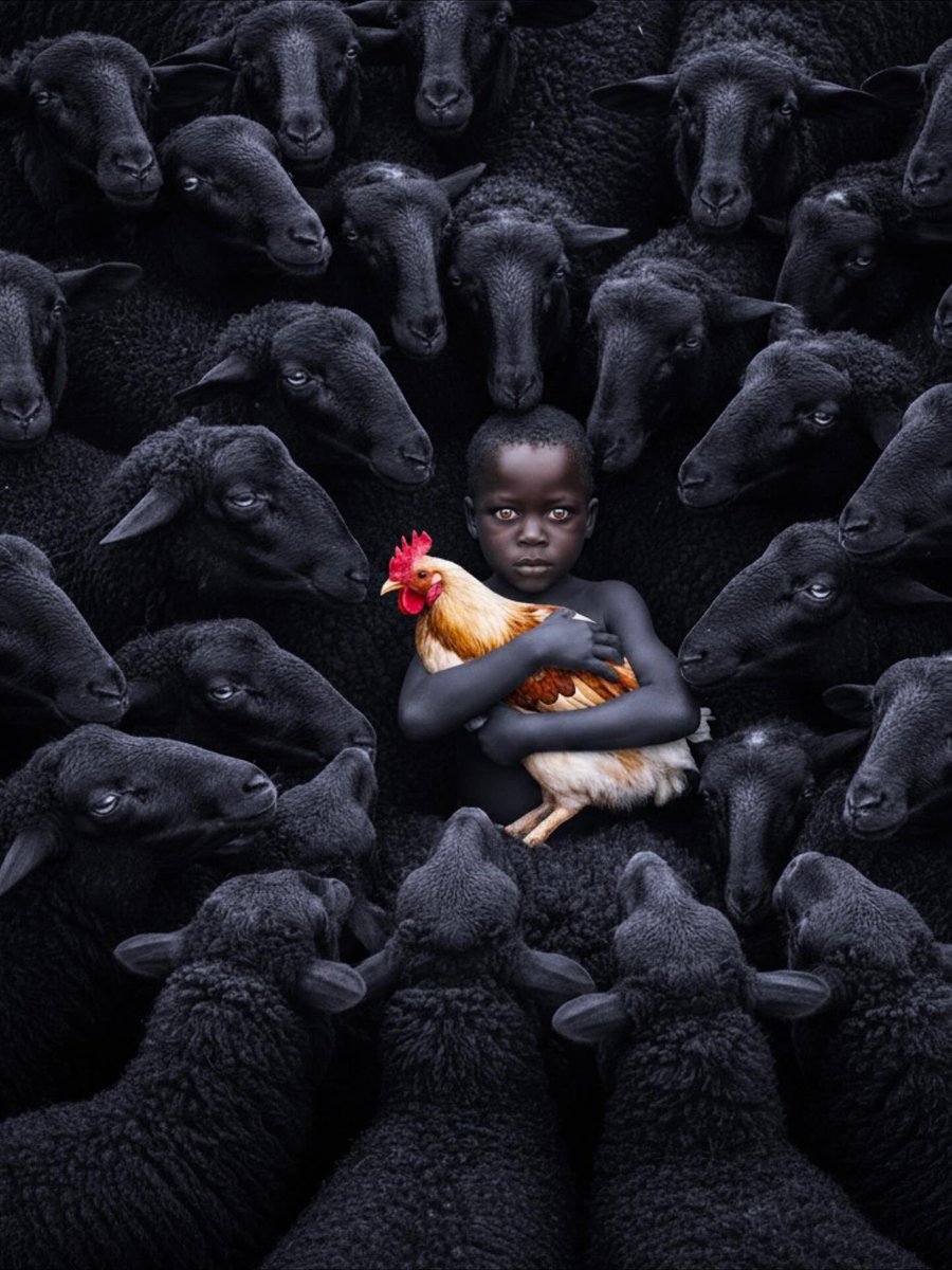 📷by Aseel Swaid
#photography