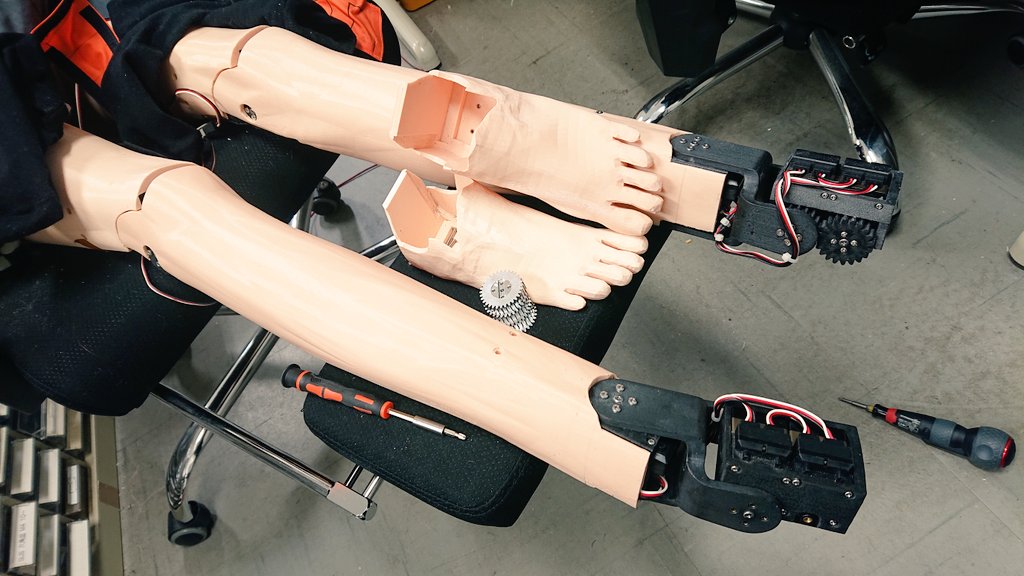 脱いだ🦶を揃える。お行儀良い