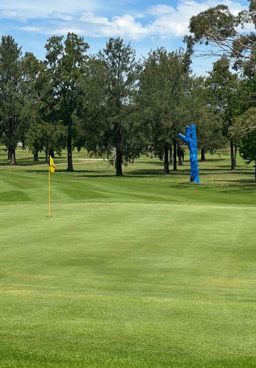 Ozziegolf tweet media