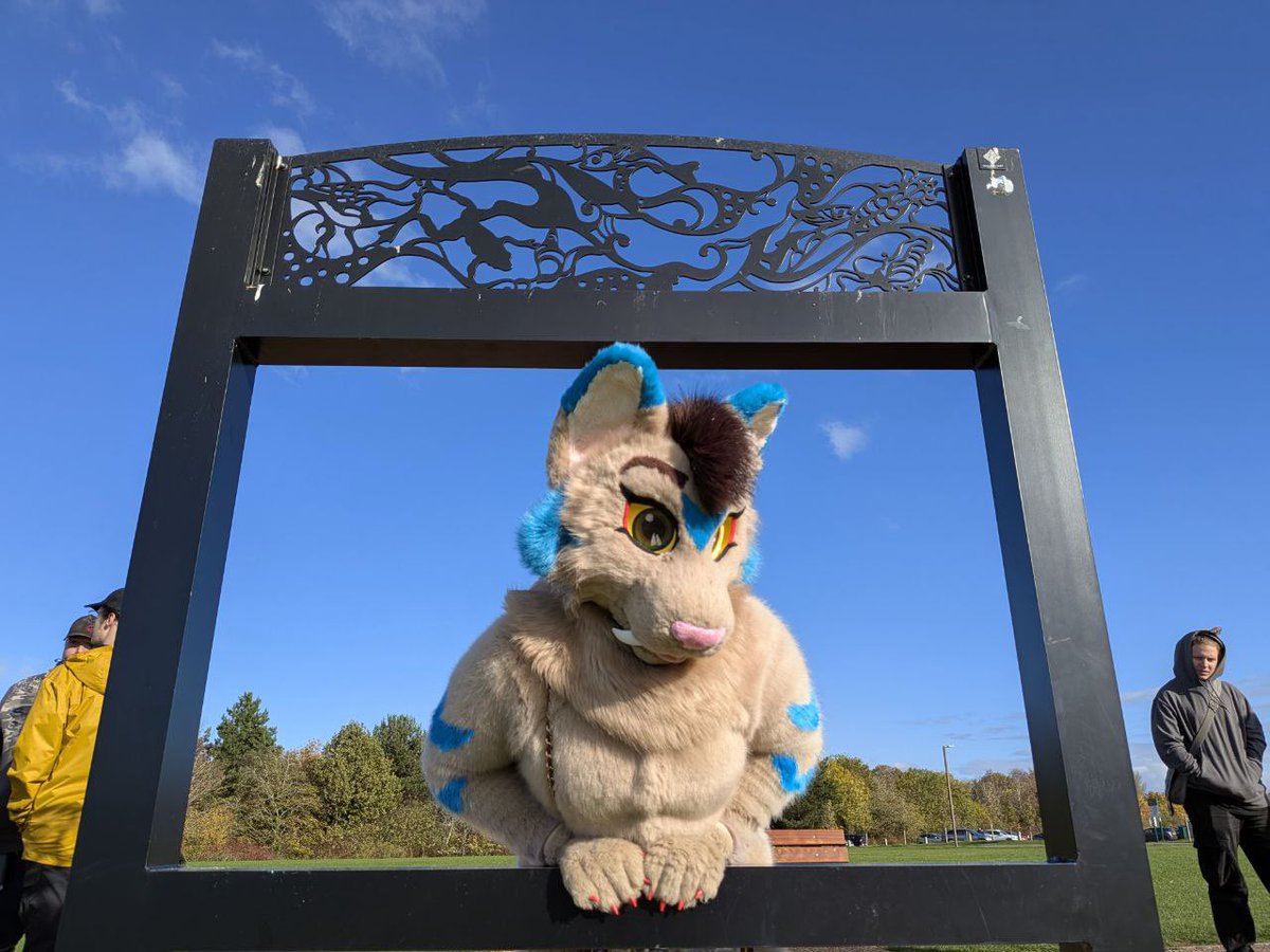 This cat loves sunny days! It is not a sunny day this #FursuitFriday but one can reminisce.