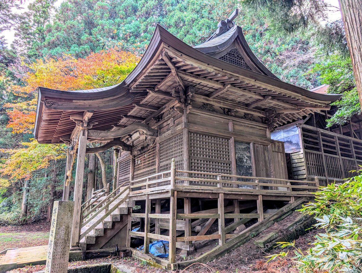 さのかずき(新) on X