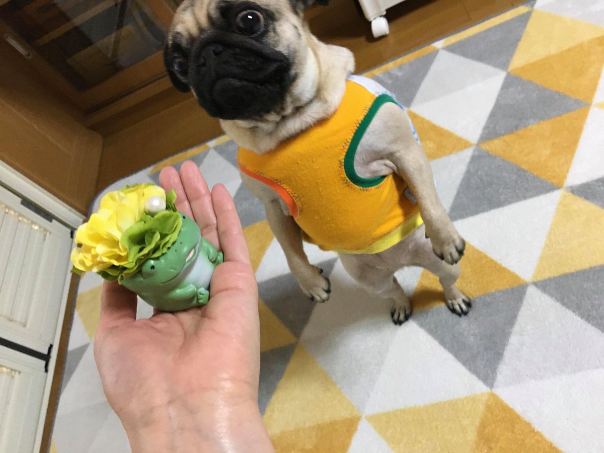 コロ助様用です°・*:.。.☆ コロ助(キテレツ大百科) (ころすけ)とは【ピクシブ百科事典】