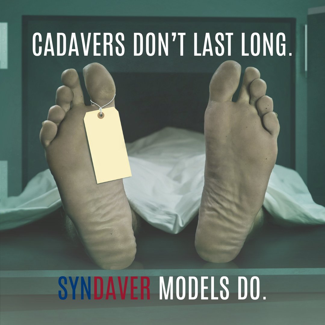 syndaver's tweet image. Our synthetic human models provide a realistic, durable, and ethical alternative to cadavers.

Experience hands-on education that lasts.
Learn more: syndaver.com

#SynDaverEDU #HealthcareEducation #MedicalSimulation #AnatomyEducation #STEM #MedEd #SimulationTraining