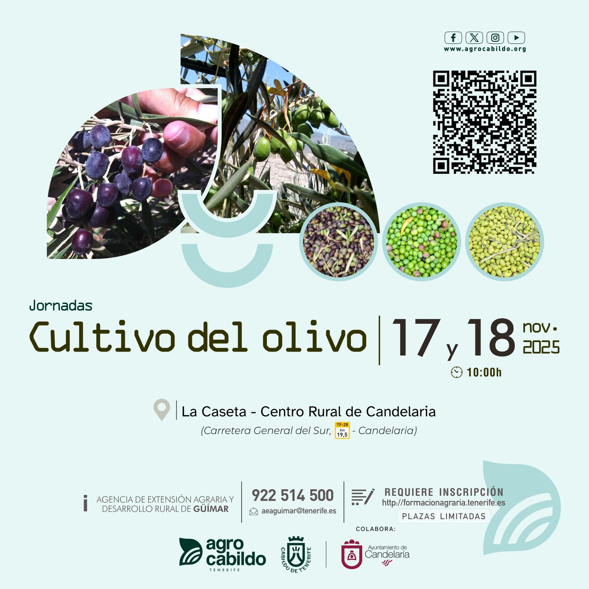 AgrocabildoTfe's tweet image. 🌿 JORNADAS |

🫒Cultivo del olivo

🗓️ 17 y 18 de noviembre 
🕛17:00h.
📍La Caseta - Centro Rural de Candelaria

🔗 Inscripción en formacionagraria.tenerife.es/acfor-fo/activ…

#Agrocabildo #olivio #agricultura #formacionagraria