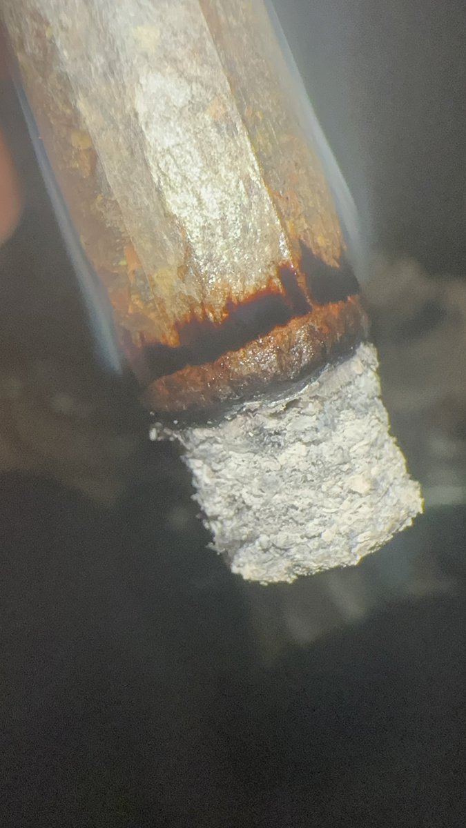 ifearmids tweet media