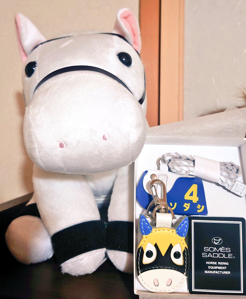 睦月出品 睦月（・◡・）🐴 on X