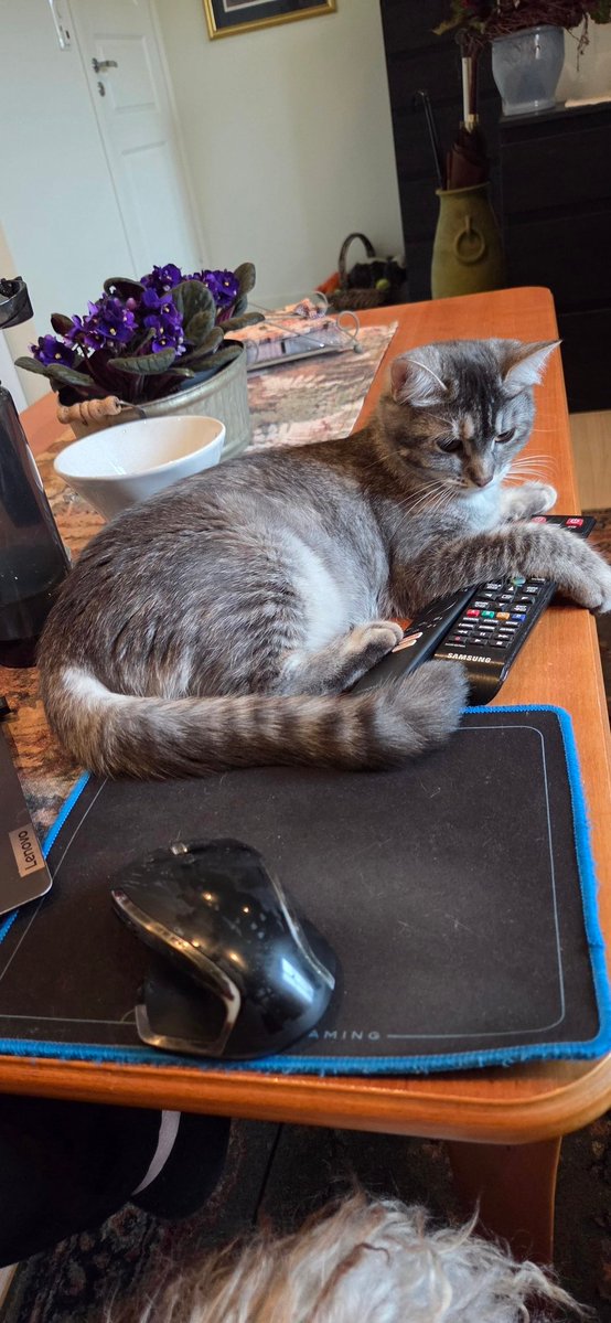 Lagt beslag på fjernkontrollene. Nå håper jeg ikke hu lager noe krøll for meg 😅