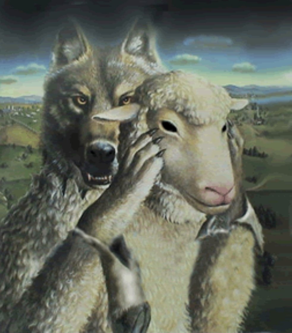 Carmen Belén 🇺🇲🇵🇷 tweet media